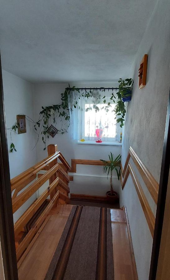 Magma Grzybowo Hotel Grzybowo  Buitenkant foto